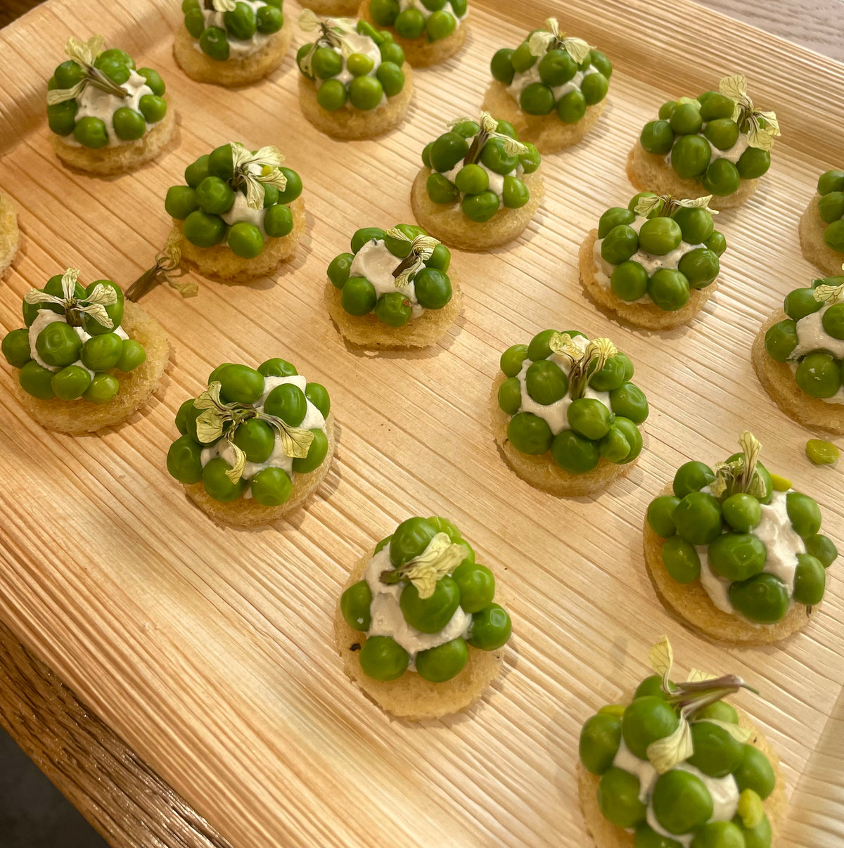 Canapés Salés x12